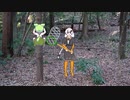 【夏】ずんずんぜみ