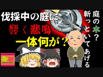 【2018年群馬】「庭の木？切るの手伝うよ」→丸ノコで足を切断し大量出血 彼はなぜノコギリではなく「丸ノコ」を？ 気軽に買える工具の危険 【ゆっくり解説】