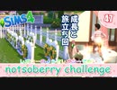 ＃47【シムズ4】レガシーのようで、レガシーでない【ゆっくり実況】