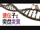 【ゆっくり解説】突然変異の威力：DNAと遺伝子のちがい【科学 / 遺伝子】