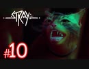【潜入】猫になれる！？サイバーパンクな世界を探索できるADVゲーム『Stray』#10