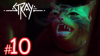 【潜入】猫になれる！？サイバーパンクな世界を探索できるADVゲーム『Stray』#10