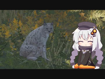 広大な大自然で狩りをするあかりちゃんのtheHunter: CotW#6