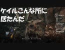#37【ダークソウル2】今更ケイルに会いに行く初見プレイ-DARK SOULS Ⅱ SCHOLAR OF THE FIRST SIN-