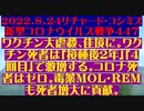【2022年08月24日：リチャード・コシミズ Internet 講演（ 改良版 ）】