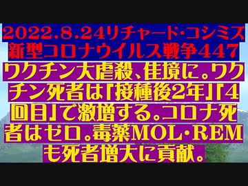 【2022年08月24日：リチャード・コシミズ Internet 講演（ 改良版 ）】
