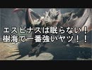 【MHR:SB】超カムラ人琴葉葵のサンブレイク part10