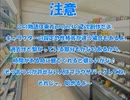 全てを失った付喪神が幻想入り　第七十四張