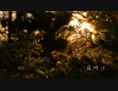 【BGM】夜明け【Easy Listening】