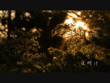 【BGM】夜明け【Easy Listening】
