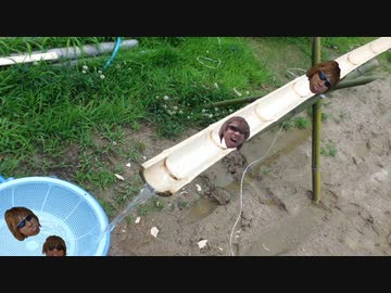 AIを使って拓也さんを流しそうめんにする