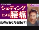 【シェディング腰痛】命取りになります！すぐに解毒を！　#ルミンA　#尿療法　#寄生虫駆除（ハーブ）　