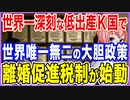 世界で唯一無二の大胆政策！世界一深刻な低出産K国で！離婚促進税制がついに始動！【2021/11/23】