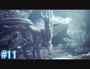 【MHWI】モンスターハンターワールド：アイスボーン 実況プレイ part11