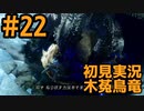 【初見実況】#２２ 新天地　銃槍担ぐ　木菟竜【Monster Hunter RISE SUNBREAK】