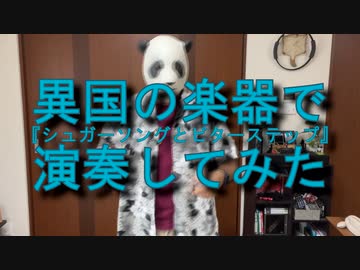 異国の楽器で『シュガーソングとビターステップ』演奏してみた。