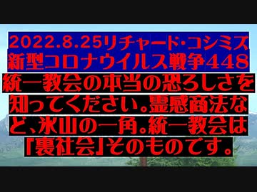 【2022年08月25日：リチャード・コシミズ Internet 講演（ 改良版 ）】