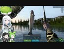 【サケとマスって】ツリアル・一匹目【どう違うんですか】