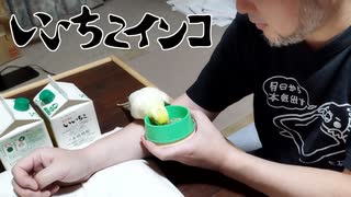 お爺ちゃんインコとオッサンがひたすらイチャイチャする動画