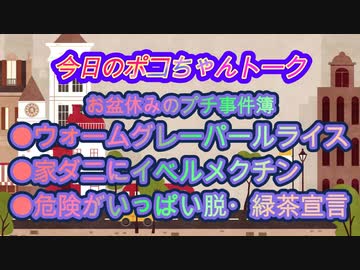 【のんびり雑談】お盆休み中のプチ事件簿...