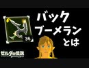 最強&バックブーメランを検証してたら厄災ガノンが無敵に！？【ブレワイ BotW】裏技 バグ 検証 ゆっくり実況 glitch