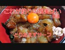 これが釣りの現実ばい8（サーフシーバス狙い）【VOICEROIDフィッシング】