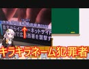 DQNネームの犯罪者解説