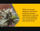 Cannabis Industry Frequently Asked Questions(FAQ)