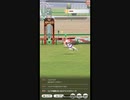 新春ウララでシニア有馬記念に挑戦(レース前～結果)