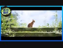 【Stray】猫になりたい時もある。#END【実況】