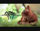 ネコ好きにはたまらない『最高のゲーム』【Stray-ストレイ-】