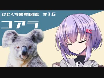 ひとくち動物図鑑　#16　コアラ　[VOICEROID解説]