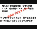 増え続ける梅毒感染者　今年の累計125人、過去最多ペース　熊本県感染症情報　免疫低下が止まらない　もうワクチンはうつな!!　常在菌で肺炎死 数十年内狂牛病で亡くなるリスクあり