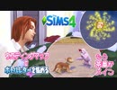 ＃4【シムズ4】ウエディングマップでボトルレターを集める【ゆっくり実況】