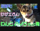 コーギーとモンキー１２５に乗って、駒沢オリンピック公園へ向かう。歩いて少しかかるがここから桜新町（サザエさん通り）を目指す。昭和の日常系家族といえるサザエさんを堪能しようではないか。