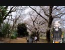【高画質・修正版】紲星あかりと行く春の多摩湖自転車歩行道 ３