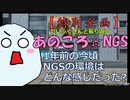 【3分で分かる！】今からほぼ一年前のNGSは、現代と違って目も当てられない『アレ』だった＋NGSはまだまだこんなものではない話【NGS小話】