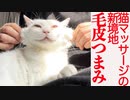 猫マッサージの新境地「毛皮つまみ」、発見される
