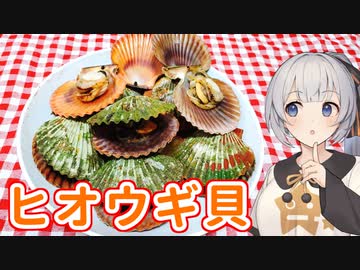 【第八回ひじき祭】気になるあの味、食べてみた！　その２【緋扇貝】