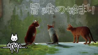 サイバーパンクの世界を冒険　「Stray」　＃1