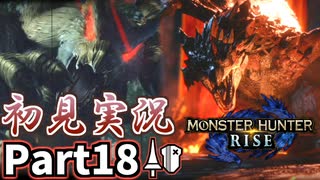 【MHRise】初見で楽しむ！MHRise実況プレイPart18【里★5疾風迅竜／里★5リオレウス警報発令中】