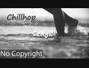 [無料ダウンロード｜フリートラック/BGM] 夏、チルい、おしゃれ、ローファイヒップホップ｜Seagull {Prod. by tcyk}
