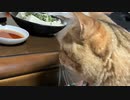 食い意地が…