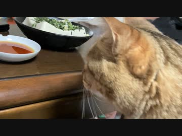 食い意地が…