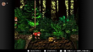 【スーパードンキーコング】3-3 ジンガーの森　【みんなでSDK祭】