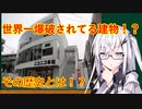 【茶番】世界で初めてのアリアルさん