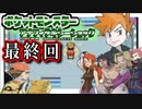 【ポケモン】同じ技を2回食らったらセーブデータを消す縛り（最終回）
