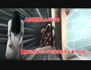 【DBD part151】え？ちょ、貞子さんちょっと待って…【ゆっくり実況プレイ】