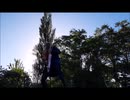 BLIND GURDIAN-beyond the ice 　弾いてみた　