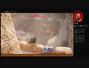 ⌘プレイアーカイブ⌘ ASSASSIN'S CREED: ORIGINS その62